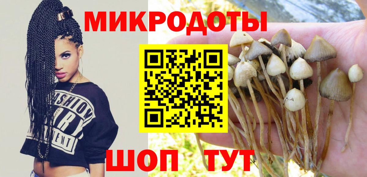 Псилоцибиновые грибы MAGIC MUSHROOMS Черкесск