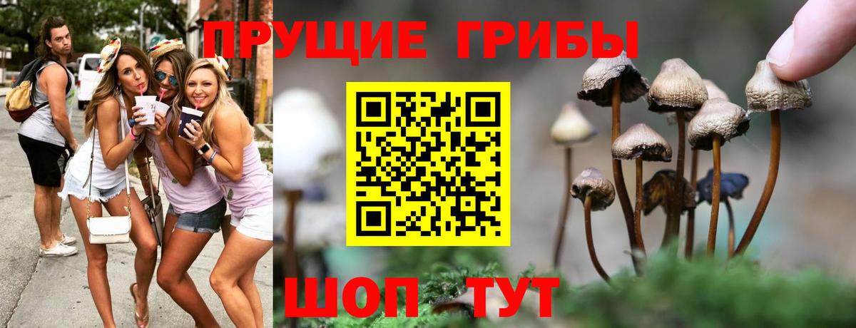 Черкесск  Галлюциногенные грибы ЛСД  Вход с VPN 